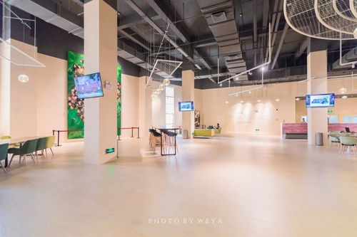 面面旅拍 探索奇妙科技工廠，坐擁海洋度假天堂，珠海夏日玩樂放縱之旅